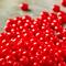 12 Pack: John Bead Red Opaque Czech Glass Seed Beads, 6/0